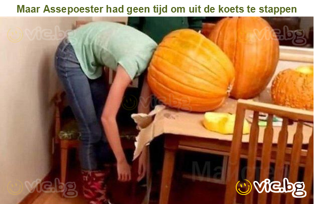 Maar Assepoester had geen tijd om uit de koets te stappen