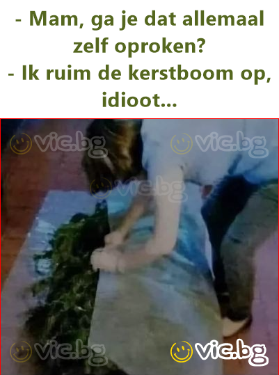- Mam, ga je dat allemaal zelf oproken? - Ik ruim de kerstboom op, idiоот...
