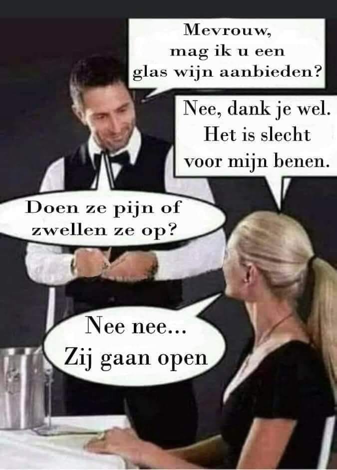 Mevrouw, rnag ik u een glas wijn aanbieden?	 Nee, dank je wel.	Het is slecht	voor mijn benen.	 Doen ze pijn of zwellen ze op? Nee nee ... Zij gaan open