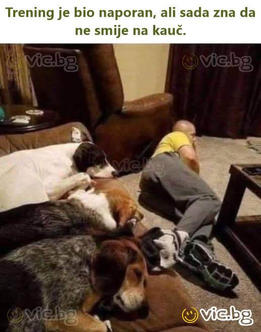 Mijn Halloweenkostuum is geregeld… De Vlieg!