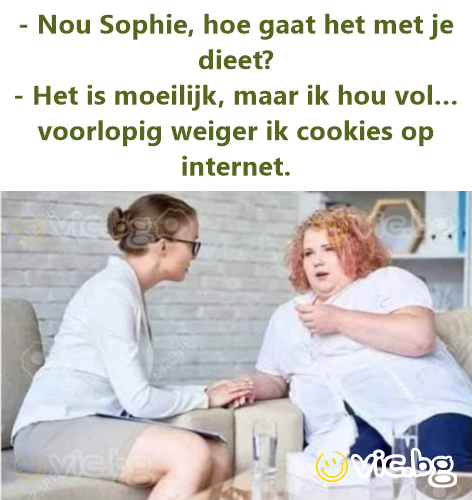 - Nou Sophie, hoe gaat het met je dieet? - Het is moeilijk, maar ik hou vol… voorlopig weiger ik cookies op internet.