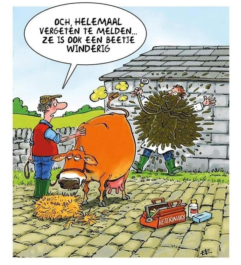 Och, helemaal vergeten te melden... Ze is dok een beetje winderig veterinary