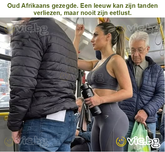 Oud Afrikaans gezegde. Een leeuw kan zijn tanden verliezen, maar nooit zijn eetlust.