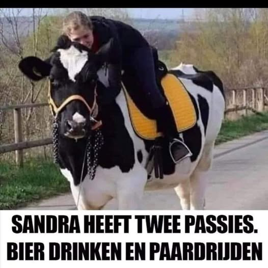 Sandra heeft twee passies. Bier drinken en paardrijden
