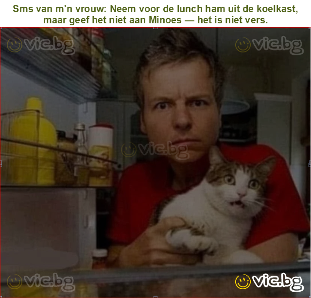 Sms van m'n vrouw: Neem voor de lunch ham uit de koelkast, maar geef het niet aan Minoes — het is niet vers.