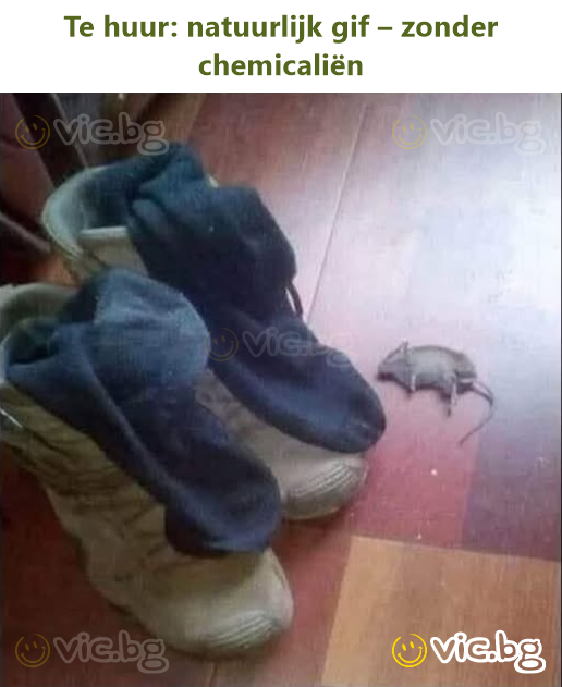 Te huur: natuurlijk gif – zonder chemicaliën