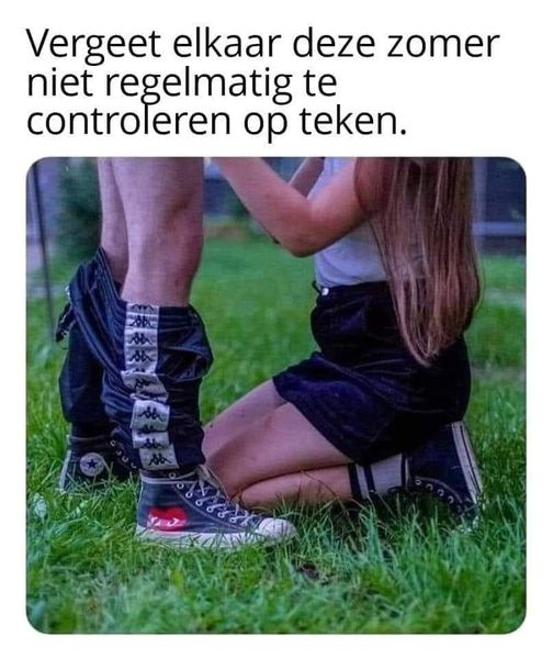 Vergeet elkaar deze zomer niet regelmatig te controleren op teken.