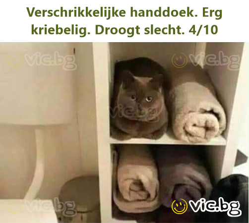 Verschrikkelijke handdoek. Erg kriebelig. Droogt slecht. 4/10