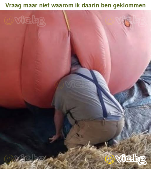 Vraag maar niet waarom ik daarin ben geklommen