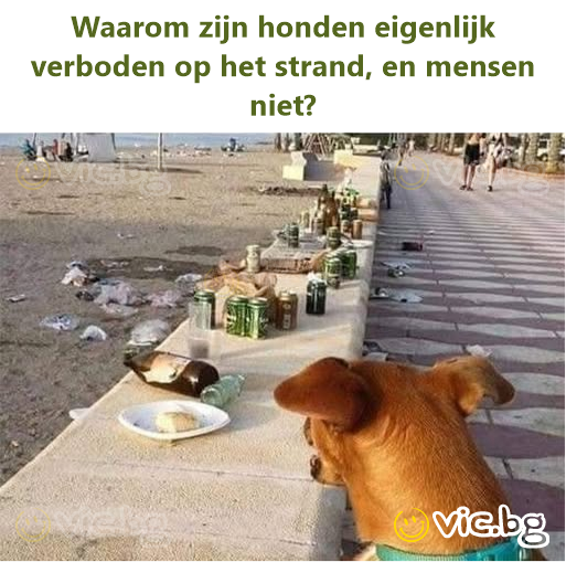 Waarom zijn honden eigenlijk verboden op het strand, en mensen niet?