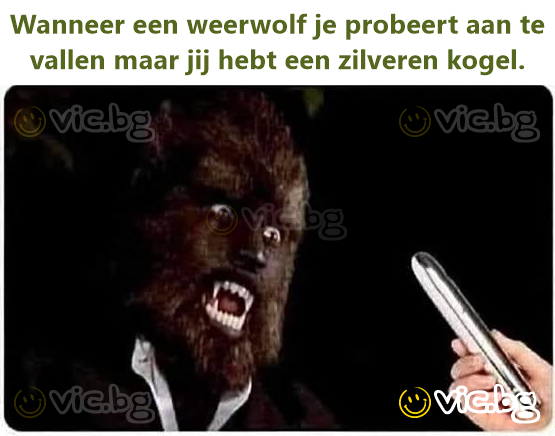 Wanneer een weerwolf je probeert aan te vallen maar jij hebt een zilveren kogel.