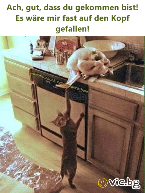 Wanneer je chagrijnig wakker wordt en ruzie maakt met mensen die je niet eens kent