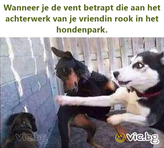 Wanneer je de vent betrapt die aan het achterwerk van je vriendin rook in het hondenpark.