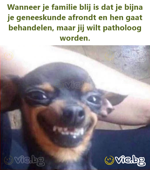Wanneer je familie blij is dat je bijna je geneeskunde afrondt en hen gaat behandelen, maar jij wilt patholoog worden.
