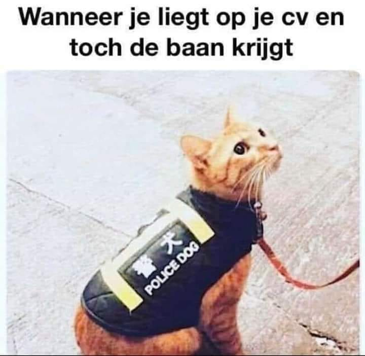 Wanneer je liegt op je cv en toch de baan krijgt POLICE DOG
