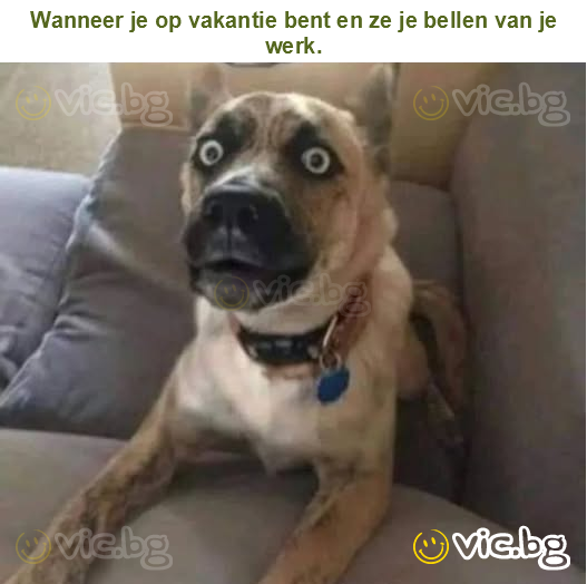 Wanneer je op vakantie bent en ze je bellen van je werk.