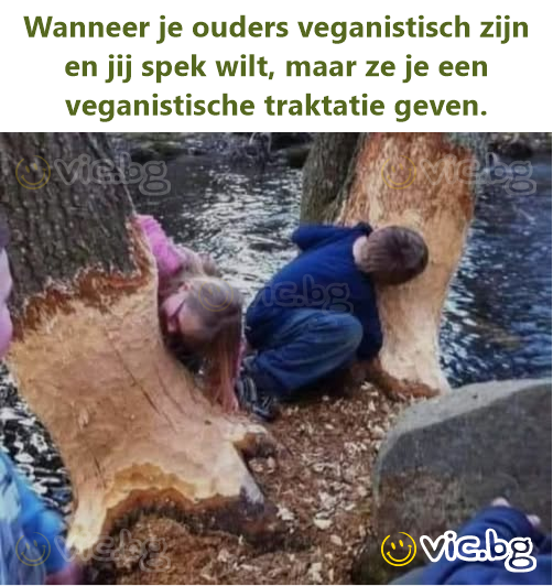 Wanneer je ouders veganistisch zijn en jij spek wilt, maar ze je een veganistische traktatie geven.