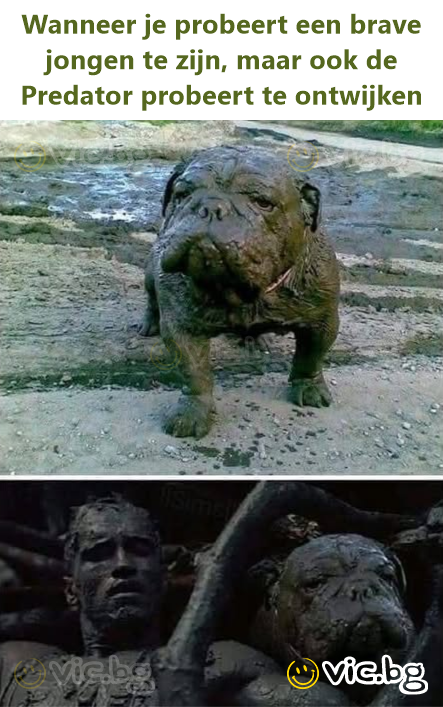 Wanneer je probeert een brave jongen te zijn, maar ook de Predator probeert te ontwijken