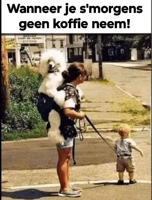 Wanneer je s'morgens geen koffie neem!