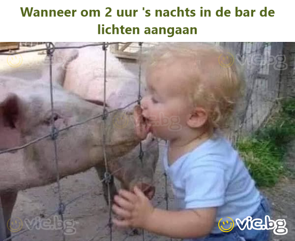 Wanneer om 2 uur 's nachts in de bar de lichten aangaan