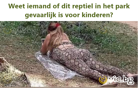 Weet iemand of dit reptiel in het park gevaarlijk is voor kinderen?