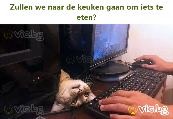 Zullen we naar de keuken gaan om iets te eten?