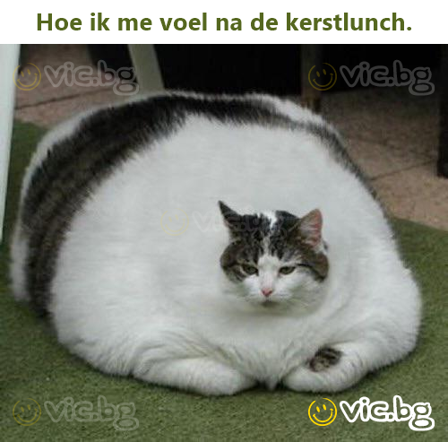 Ное ik me voel na de kerstlunch.