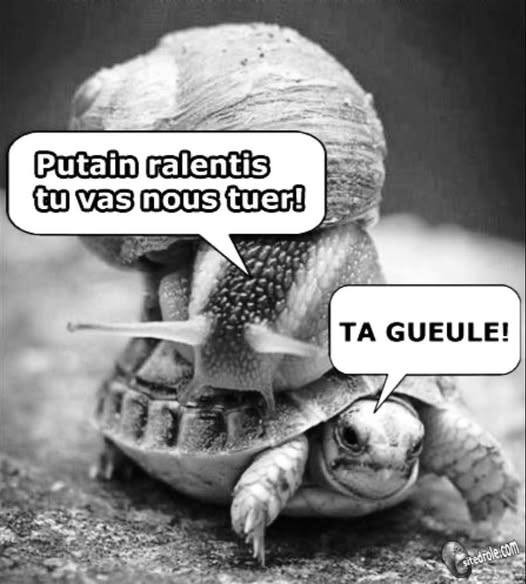Рutаin ralentis tu vas nous tuer! Тa gueule!