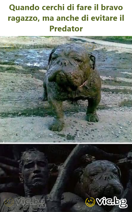 Når du prøver å være en snill gutt, men også å unngå å bli oppdaget av Predator