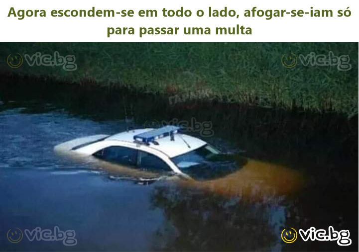 Agora escondem-se em todo o lado, afogar-se-iam só para passar uma multa