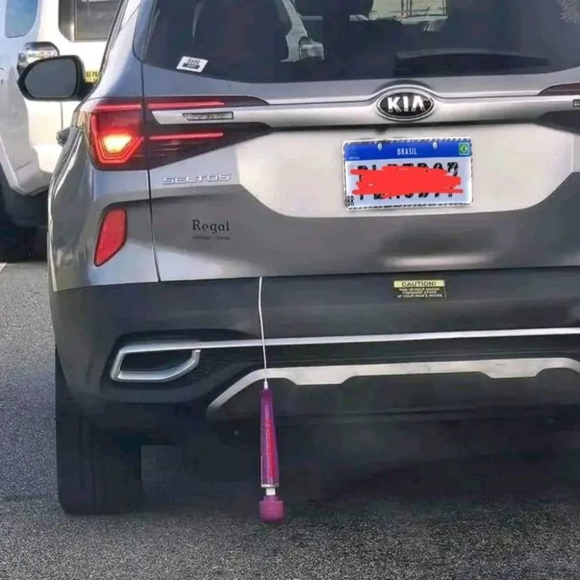 Alguma cantora atrasada para o show. Nem viu que o microfone ficou pra fora.