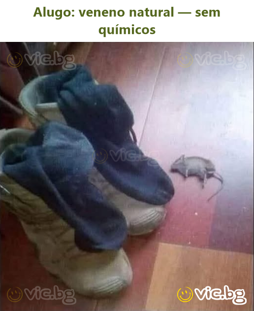 Alugo: veneno natural — sem químicos