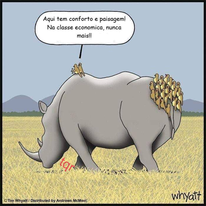 Aqui tem conforto e paisagem! Na classe economica, nunca mais!!