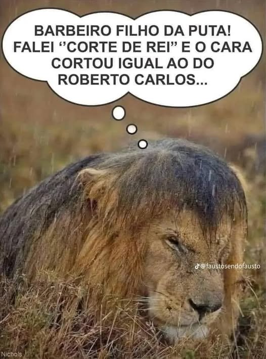 Barbeiro filho da puta! Falei "corte de rei" e o cara cortou igual ao do roberto carlos...