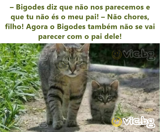 – Bigodes diz que não nos parecemos e que tu não és o meu pai! – Não chores, filho! Agora o Bigodes também não se vai parecer com o pai dele!