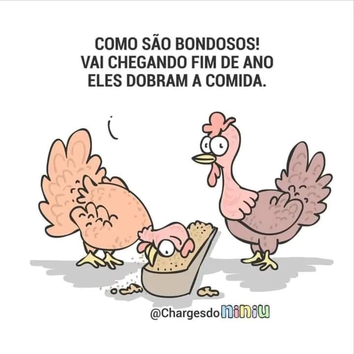 Como são bondosos! Vai chegando fim de ano eles dobram a comida.