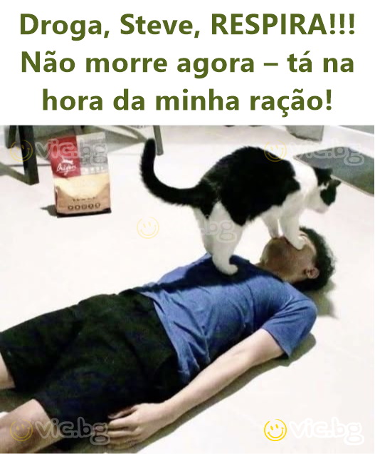 Droga, Steve, RESPIRA!!! Não morre agora – tá na hora da minha ração!