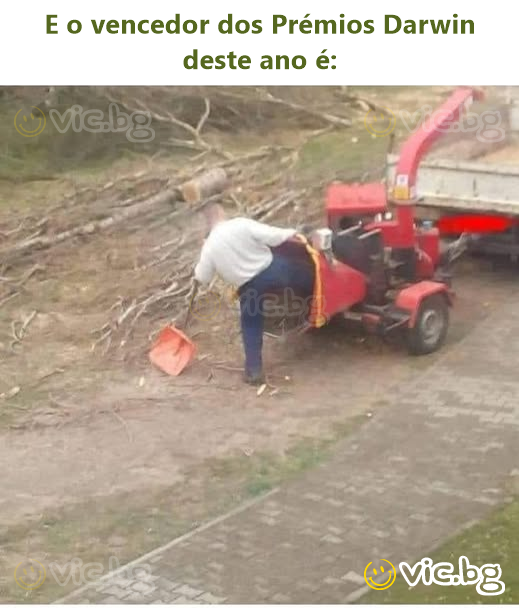 E o vencedor dos Prémios Darwin deste ano é: