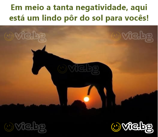 Em meio a tanta negatividade, aqui está um lindo pôr do sol para vocês!