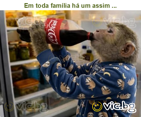 Em toda família há um assim ...