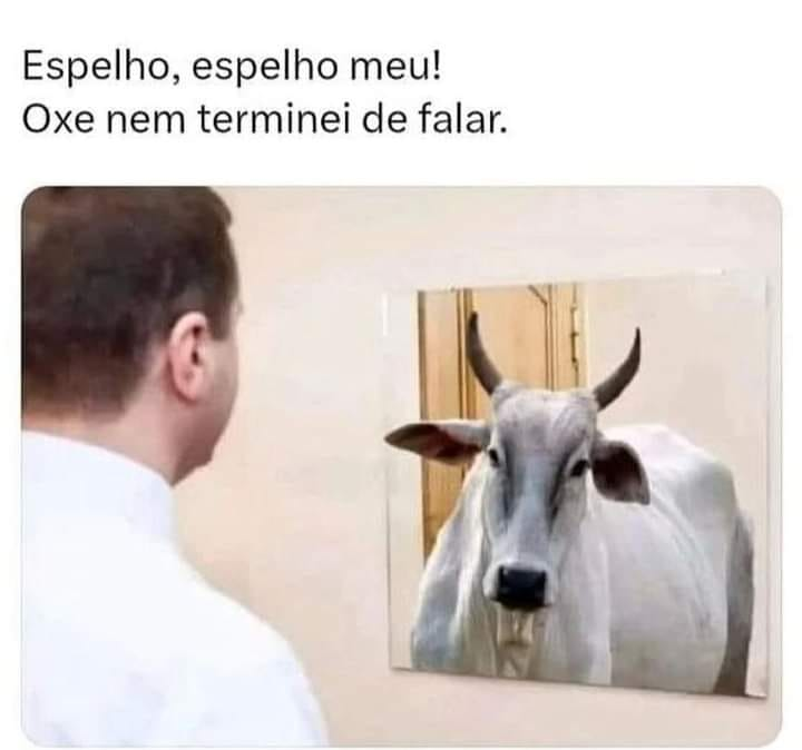 Espelho, espelho meu! Oxe nem terminei de falar.