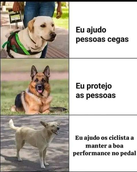 Eu ajudo	pessoas cegas	 Eu protejo as pessoas	 Eu ajudo os ciclista a manter a boa performance no pedal