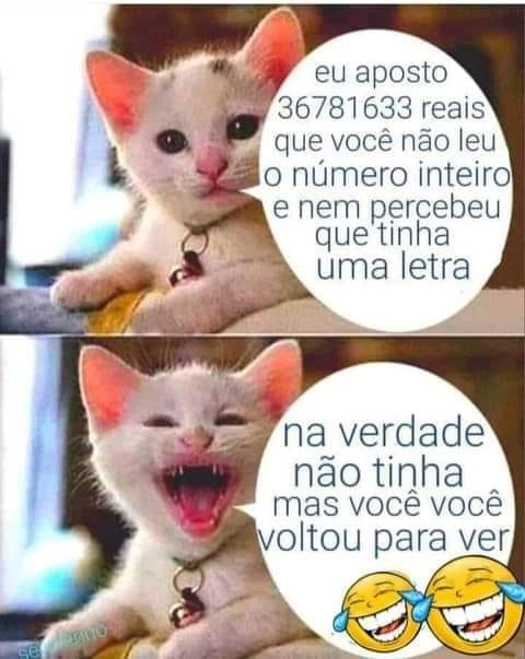 Eu aposto 36781633 reais que você não leu o número inteiro e nem percebeu que tinha uma letra. Na verdade não tinha mas você você voltou para ver