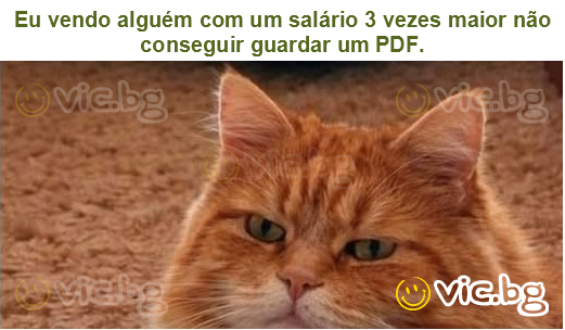Eu vendo alguém com um salário 3 vezes maior não conseguir guardar um PDF.