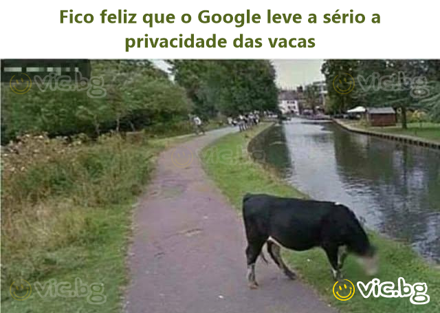 Fico feliz que o Google leve a sério a privacidade das vacas