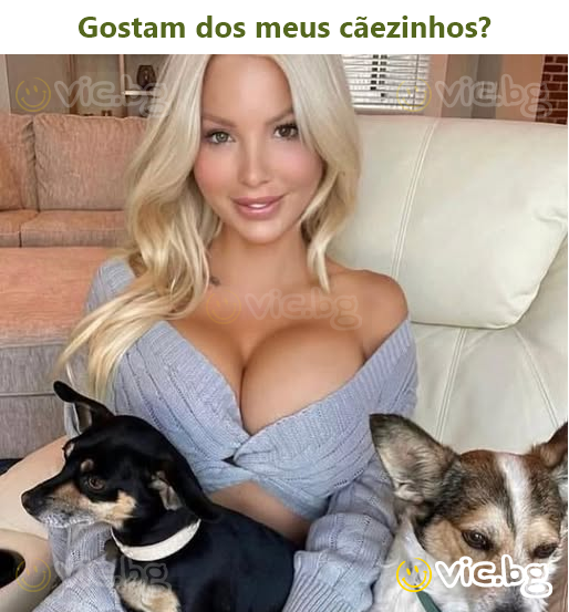 Gostam dos meus cãezinhos?