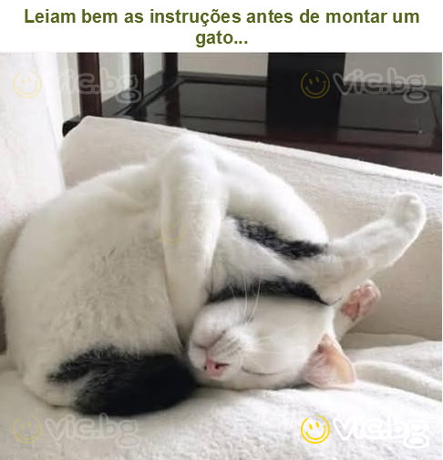 Leiam bem as instruções antes de montar um gato...