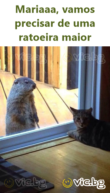 Mariaaa, vamos precisar de uma ratoeira maior