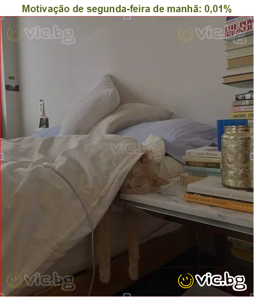 Motivação de segunda-feira de manhã: 0,01%