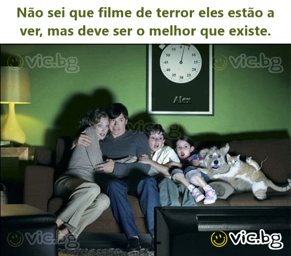 Não sei que filme de terror eles estão a ver, mas deve ser o melhor que existe.